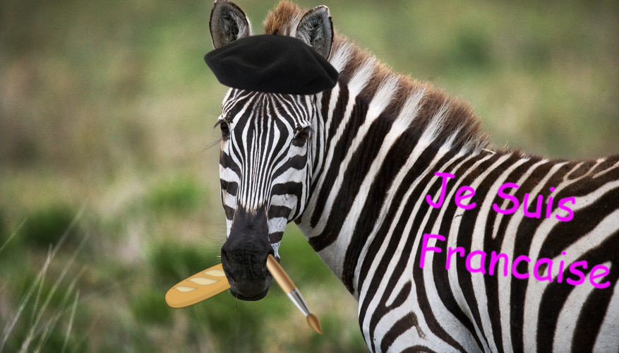 ZebrBagiet.jpg