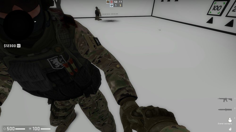 as.jpg