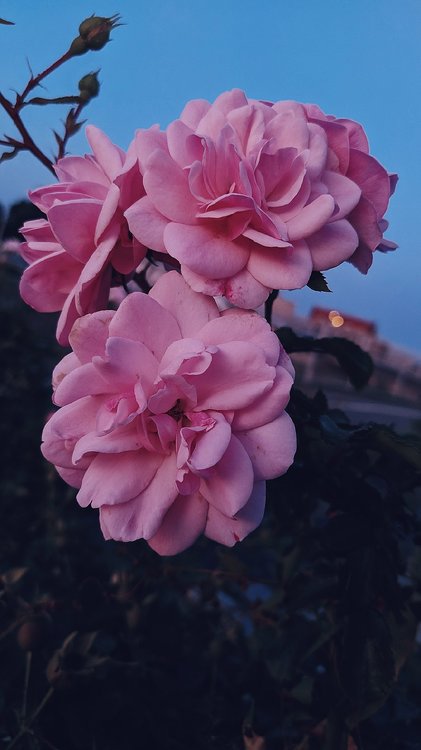 AirBrush_20190814234338.jpg