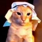 jasperWtopa