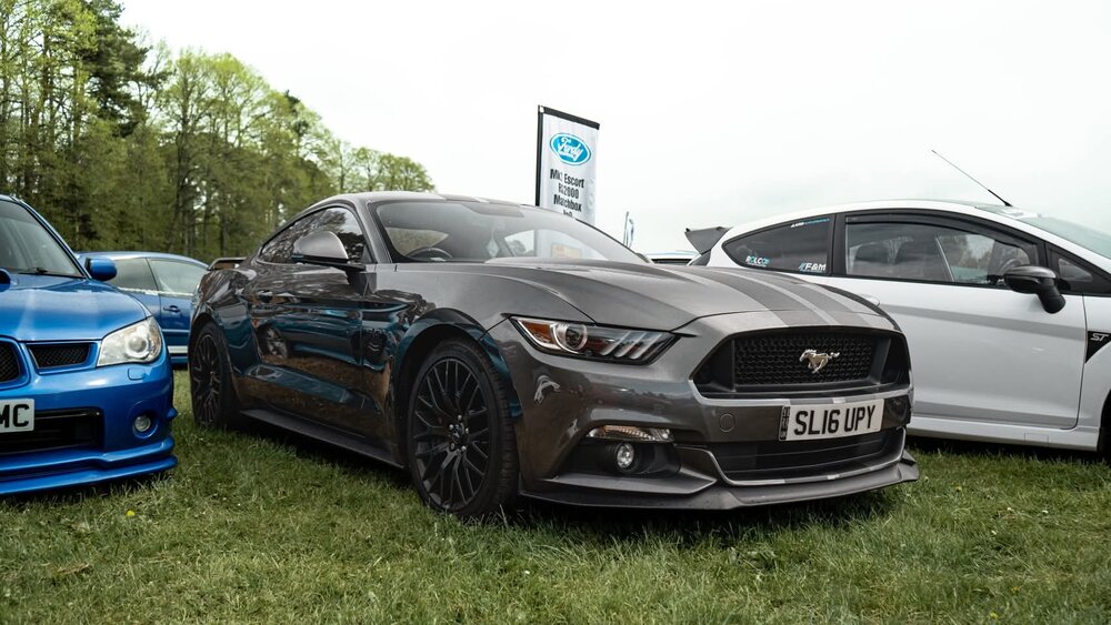 Mustang.jpg