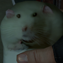 mlodygolas