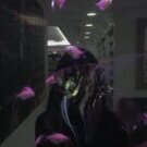 _mFj37'