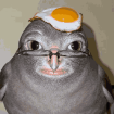 grzegorzefit