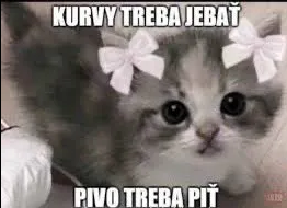 image.png.9b1bfe710061e84aa0ddfad65528f62d.png