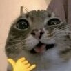 Piorunee
