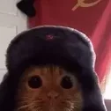 Kucc