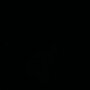 Leosiek_IDF