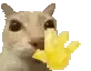 MiniJohnny