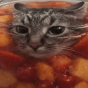 Miska_Bojler