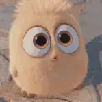 Pamefloxe