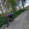 moczeq*