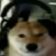 damix10