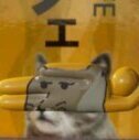 Mefju4